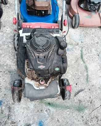 taglia prato fresco funzionanti