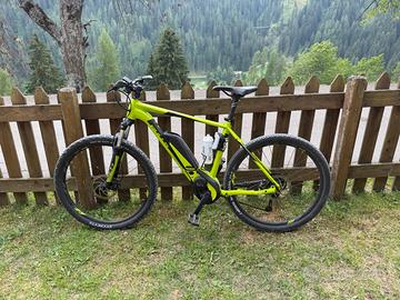 Ebike bulls