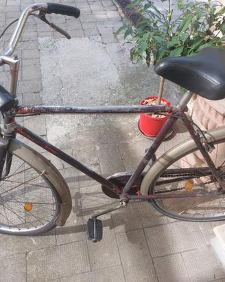 Bicicletta da uomo da battaglia