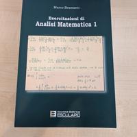 Esercitazioni di Analisi Matematica 1 - Bramanti 