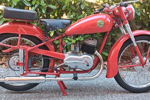sterzi 125