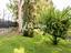 Immagine 26