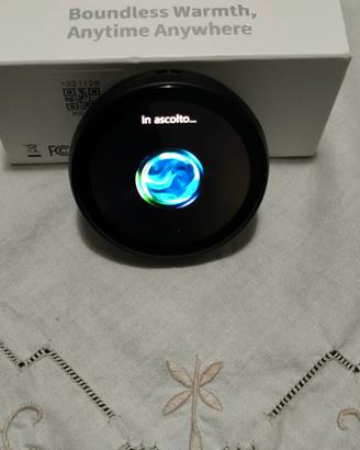 traduttore portatile ZNP Z01 Nuovo