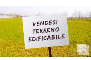 Terreno a Solesino (PD) - Solesino - Centro