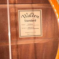 chitarre acustiche walden