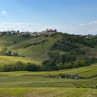 100 Anni di Vino in OLTREPO