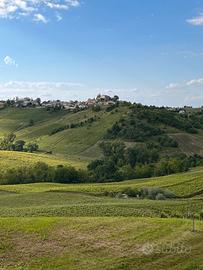 100 Anni di Vino in OLTREPO