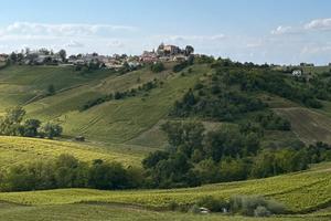 100 Anni di Vino in OLTREPO