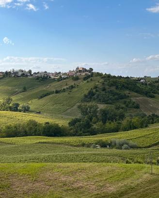 100 Anni di Vino in OLTREPO