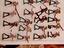 Immagine 5