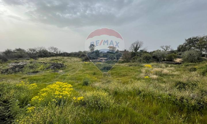Terreno - Catania