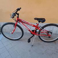 bicicletta da ragazzo 