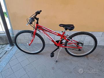 bicicletta da ragazzo 