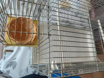 gabbia da cova completa di accessori 