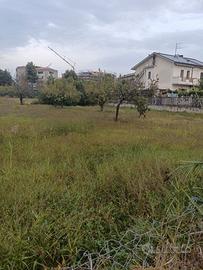 Rif. 203B Terreno a Montesilvano