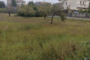 Rif. 203B Terreno a Montesilvano