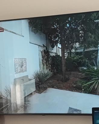 TV lg 75 pollici