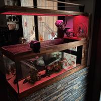 Acquario personalizzato