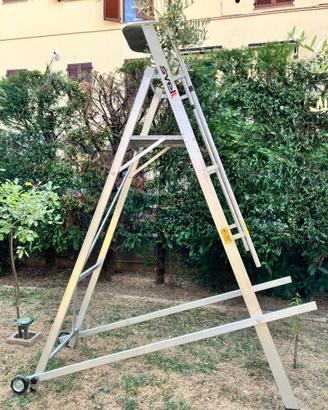 scala professionale Svelt 8 gradini