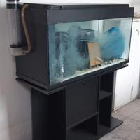 Acquario completo di mobile e accessori