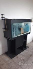 Acquario completo di mobile e accessori