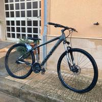 Mtb 29 focus taglia m