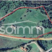 Terreno Agricolo - Pula