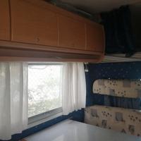 Camper Mclouis trendy plus
