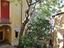 Immagine 12