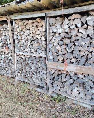 legna da ardere in cipresso 