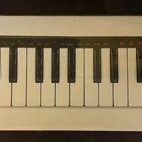 Tastiera MIDI musicale AKAI Professional LPK25