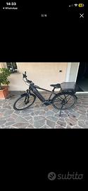 Bicicletta elettrica