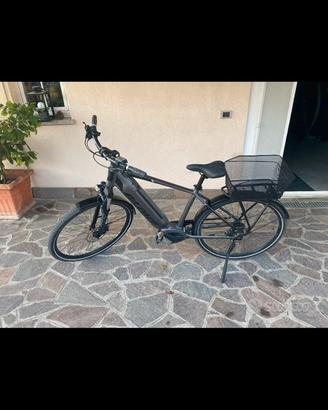 Bicicletta elettrica