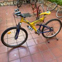 bicicletta mountainbike