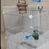 Voliera per pappagalli