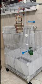 Voliera per pappagalli