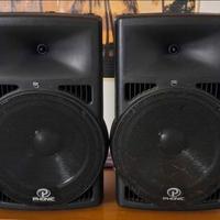 Casse passive Phonic