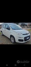 fiat panda anno 2018 1.2 benzina 