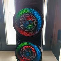 Cassa 8.5 x 2 con microfono 
