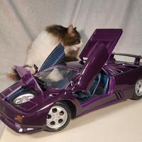 Maisto 1:18 Lamborghini Diablo 30mo anniversario