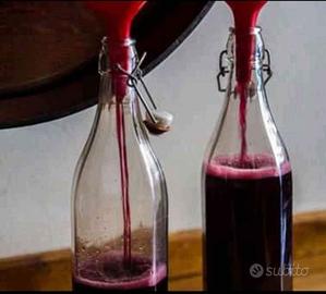 VINO casareccio Azienda Agricola