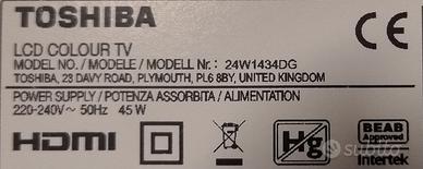 PARTI DI RICAMBIO TV TOSHIBA 24W1434DG