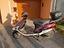 Immagine 4
