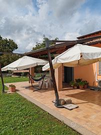 coppia di ombrelloni palo laterale 3 x 3