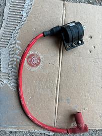 Centralina e bobbina malossi blocco Piaggio