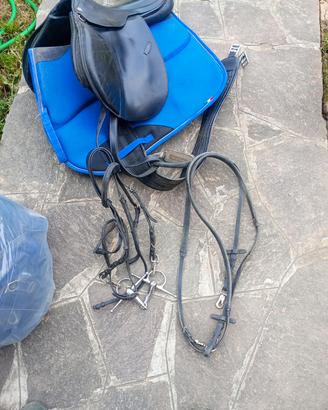 accessori cavallo
