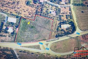 Terreno Contrada Bosco Falconeria (Rif.1525)