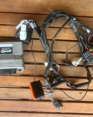 Rapid bike evo Husqvarna norden 901