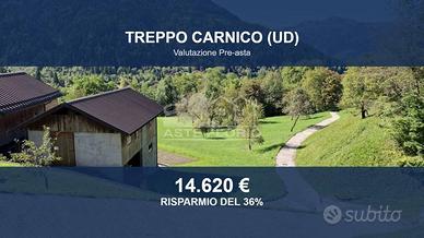 Immobile in asta di 82551 m² a Villa Santina