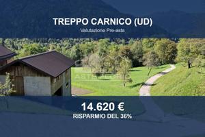 Immobile in asta di 82551 m² a Villa Santina